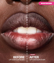 Lip Contour Lip Stain For 12-Hour Wear