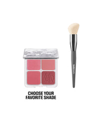 Blush & Brush Kit